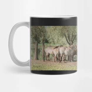 Why do horses sleep standing up? Mug